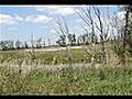 Lentewandeling door de polders Huiswaard en  | BahVideo.com