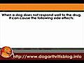 Prescription Painkillers for Dog Arthritis User Guides Part 1 - Tramadol | BahVideo.com