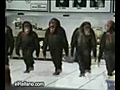 maymunlar hoptek oynarsa  | BahVideo.com