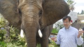 Smartphone Vs Elephant And Otter | BahVideo.com