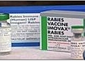 Preventing Rabies | BahVideo.com