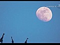 La Luna m s grande y m s cerca de la Tierra | BahVideo.com