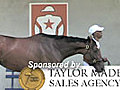 Fasig-Tipton Feature - The Heiligbrodts | BahVideo.com