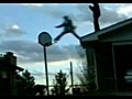 Il se prend pour un ballon de basket  | BahVideo.com