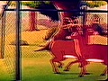 Merrie Melodies A Day At The Zoo 1939  | BahVideo.com