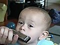 Harmonica Baby  | BahVideo.com