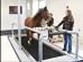 GREAT VIDEO Horse Treadmill Helps Research | BahVideo.com