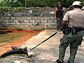 Operation Wild Gator Training | BahVideo.com