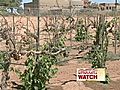 New Mexico Is Suffering From Lack Of Rain | BahVideo.com