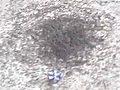 Huracan de hormigas | BahVideo.com
