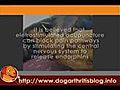 dog arthritis Electrostatic Acupuncture treatment | BahVideo.com
