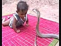  Cobra joue avec un enfant  | BahVideo.com