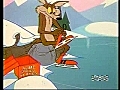 Looney Tunes 41 | BahVideo.com