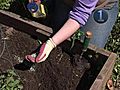 How To Properly Fertilize Your Garden | BahVideo.com