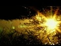 Sophie Ellis-Bextor - Starlight | BahVideo.com