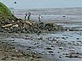 Mumbai oil spill spreads | BahVideo.com