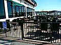 Amberjacks in South Padre Island | BahVideo.com