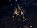 Dungeon Siege III - Co op gameplay footage 2 | BahVideo.com