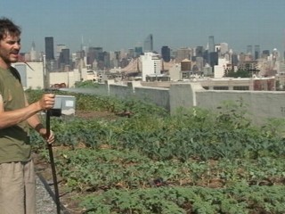 Urban Farmers Grow Rooftop Crops | BahVideo.com
