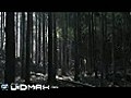 Touch Wood | BahVideo.com