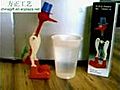 The Infamous Drinking Bird | BahVideo.com