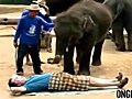 Il se fait masser par un l phant  | BahVideo.com