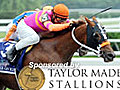 2011 Belmont Stakes Wrap | BahVideo.com