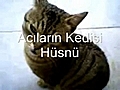 ACILARIN KED S H SN  | BahVideo.com