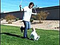 Just Jesse s Amazing Dog Tricks | BahVideo.com