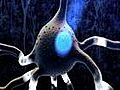 Optogenetics A light switch for neurons | BahVideo.com