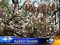 April brings in seasonal allergies | BahVideo.com