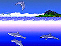 Ecco s Friends Are Stupid Dolphins | BahVideo.com