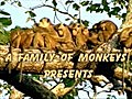 Monkey Goes Cross Country | BahVideo.com