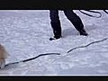 雪の上 | BahVideo.com