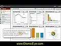EtomicEye - Internet Computer Monitoring | BahVideo.com
