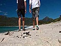 Best beaches Tasmania beaches | BahVideo.com