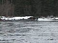 Alaska snowmobile vs jet boat extreme sports | BahVideo.com