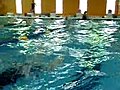 08 6 17 Let s Swim 5  | BahVideo.com
