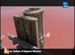 Les Salins d Aigues Mortes 1 logo non ok | BahVideo.com