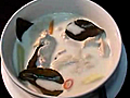 Thai Chicken Coconut Cream Soup | BahVideo.com