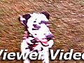 Viewer Video 101 fetches | BahVideo.com
