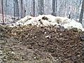 Horse Manure Compost Fayetteville Arkansas | BahVideo.com