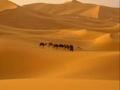 Desert Safari Excursions Quad Runner in Sharm  | BahVideo.com