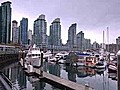 Vancouver aquarium | BahVideo.com
