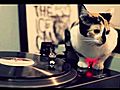 DJ Cat | BahVideo.com