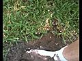 muddy socks | BahVideo.com