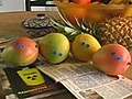 Revenge of the irradiated mangoes | BahVideo.com