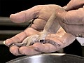 CHOW Tip: How to Clean Squid | BahVideo.com