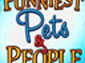 Funniest Pets amp People | BahVideo.com
