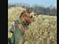 German troops storming enemy bunkers - WWII  | BahVideo.com